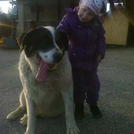 Gostinjska kuća Kaucic Benedikt v Slovenskih Goricah