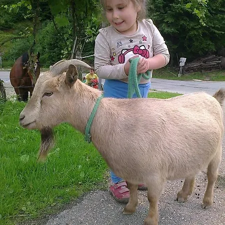 Kaucic Gostinjska kuća 3*