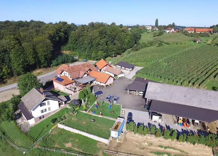 Πανσιόν Kaucic 3*